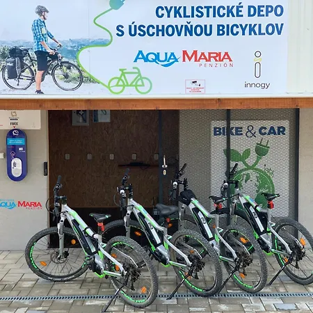 Alpina - Aqua Maria * Velaty