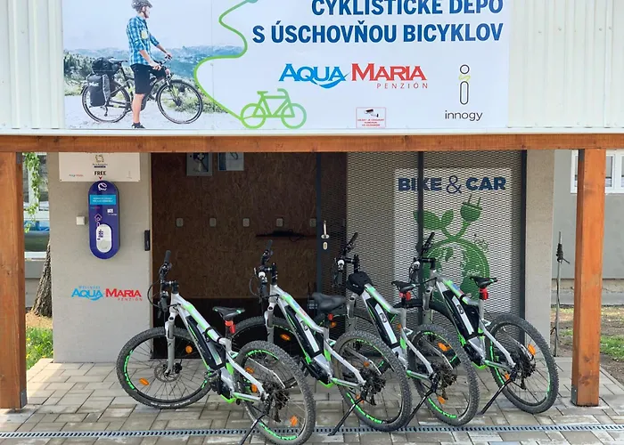 Alpina - Aqua Maria * Velaty